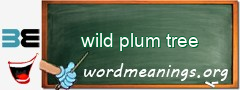 WordMeaning blackboard for wild plum tree